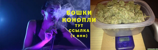 ПСИЛОЦИБИНОВЫЕ ГРИБЫ Аркадак