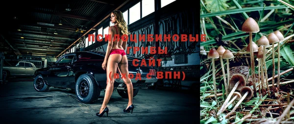 mix Арсеньев