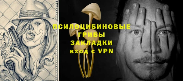 ПСИЛОЦИБИНОВЫЕ ГРИБЫ Аркадак