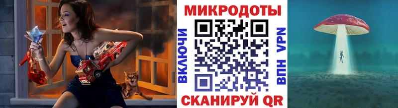Псилоцибиновые грибы Psilocybe  Усолье-Сибирское 
